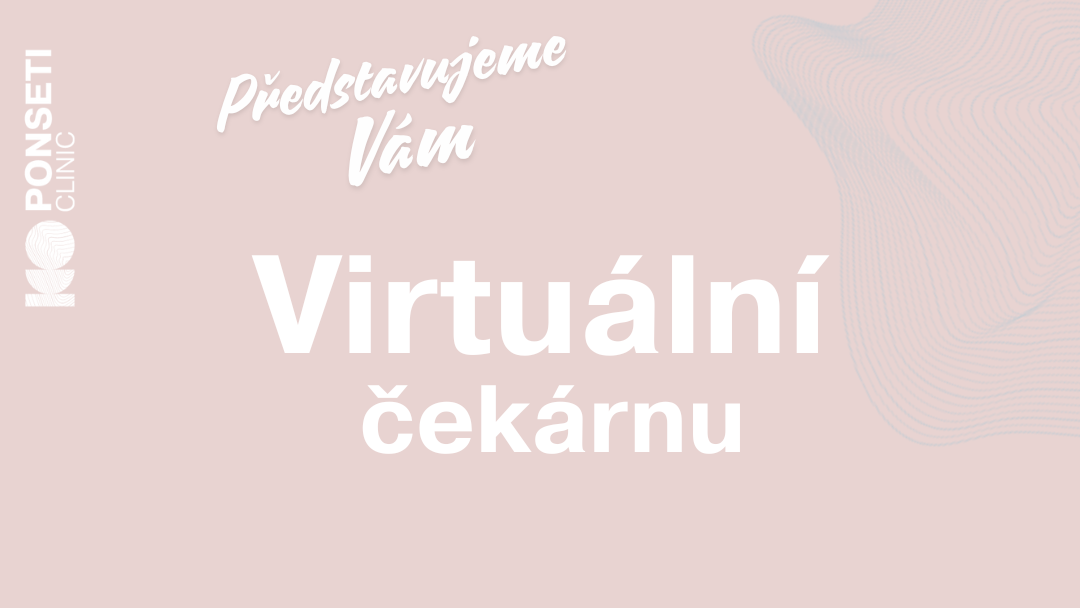 Virtuální čekárna